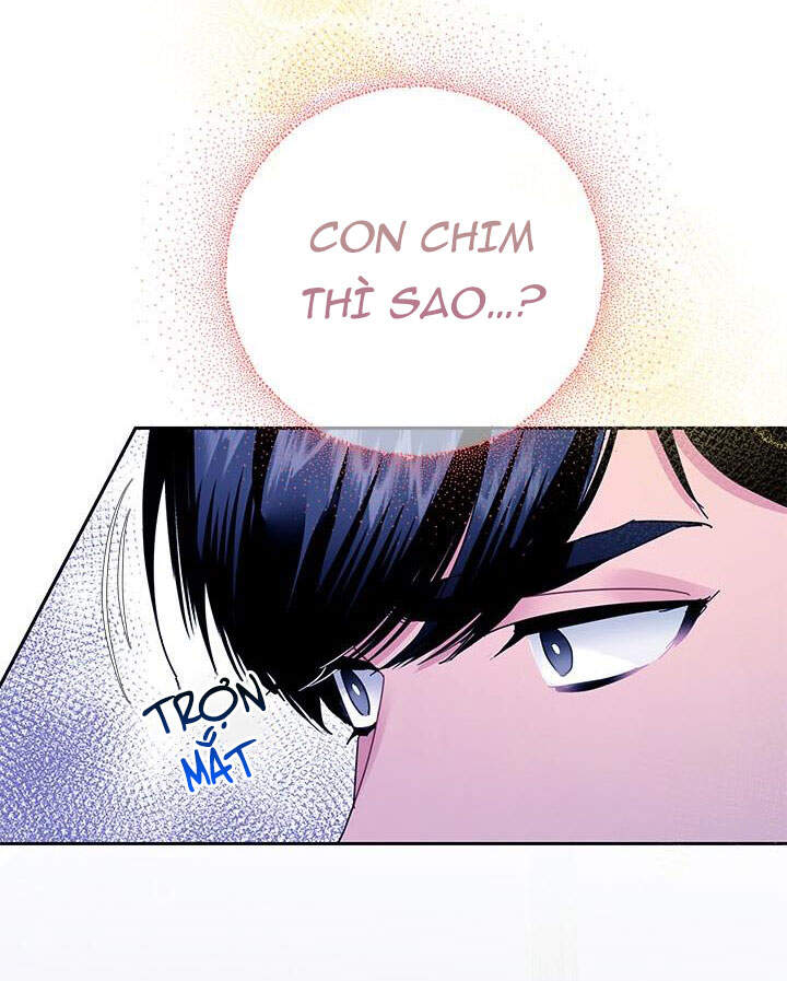 Công Chúa Của Loài Chim Chapter 40.1 - 23