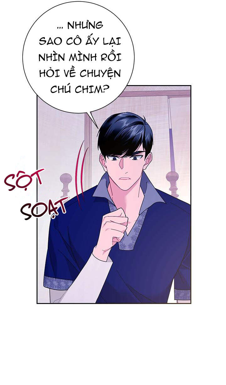 Công Chúa Của Loài Chim Chapter 40.1 - 35