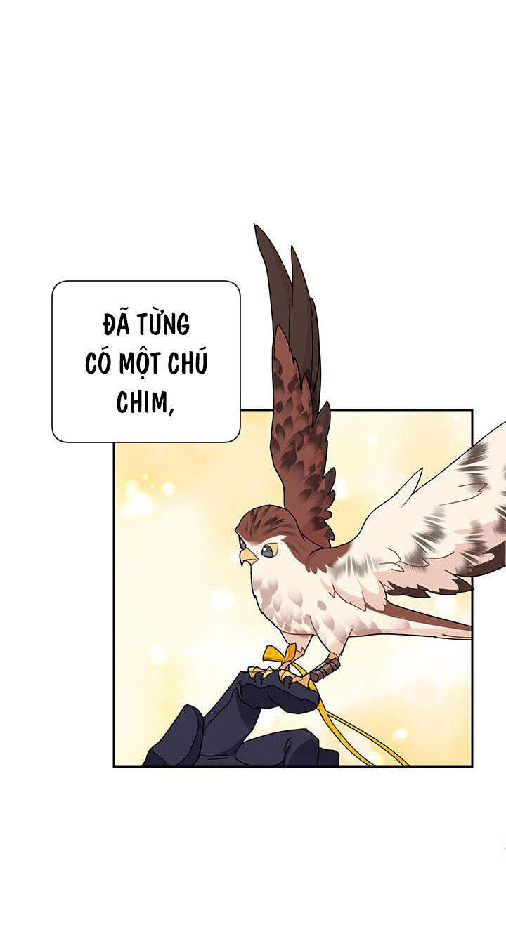 Công Chúa Của Loài Chim Chapter 40.1 - 48