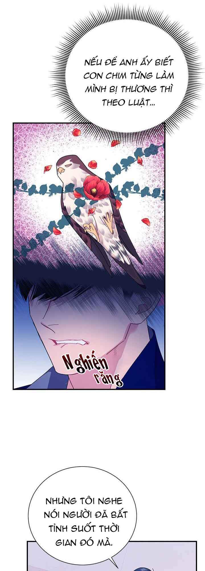 Công Chúa Của Loài Chim Chapter 42.2 - 5