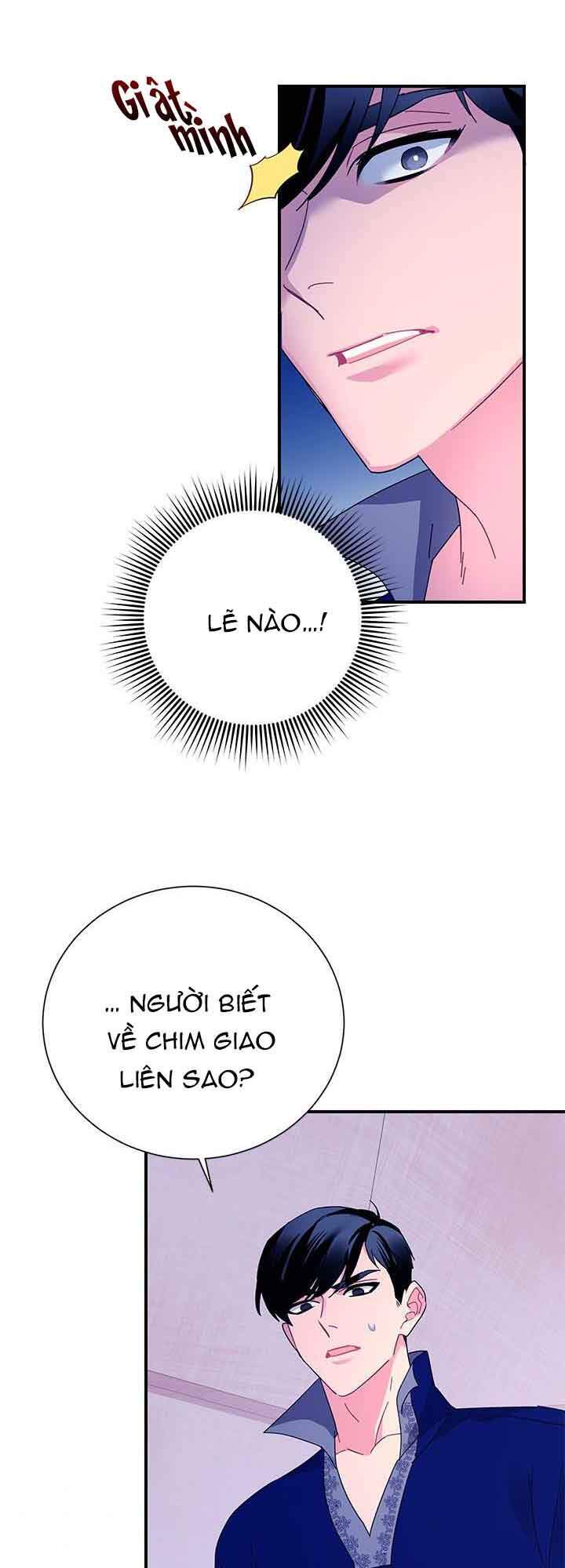 Công Chúa Của Loài Chim Chapter 42.2 - 9