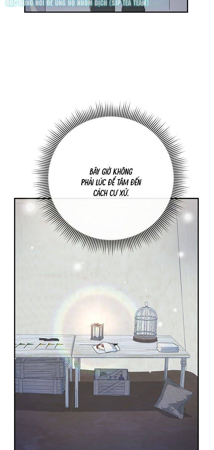 Công Chúa Của Loài Chim Chapter 43 - 17