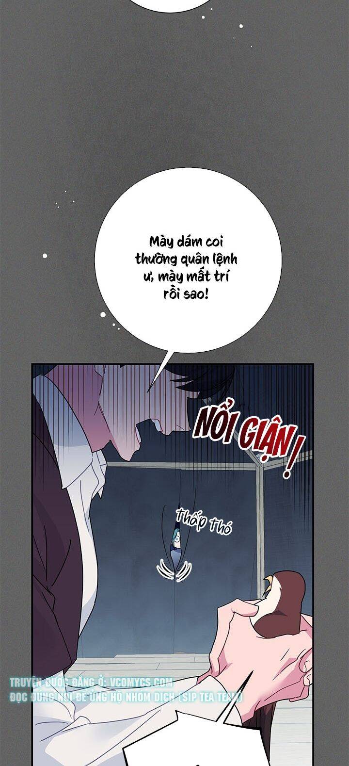 Công Chúa Của Loài Chim Chapter 43 - 40