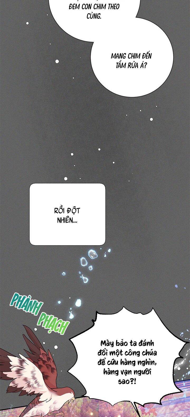 Công Chúa Của Loài Chim Chapter 43 - 48