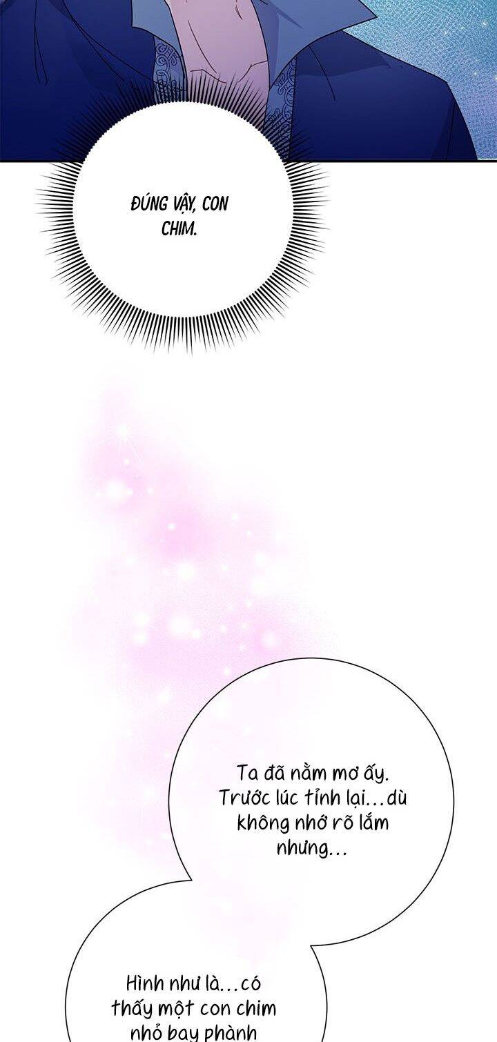 Công Chúa Của Loài Chim Chapter 43 - 8