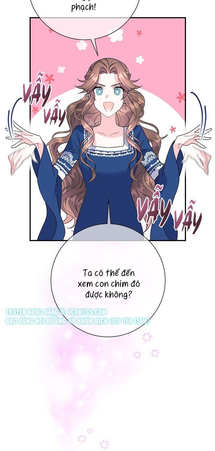 Công Chúa Của Loài Chim Chapter 43 - 9