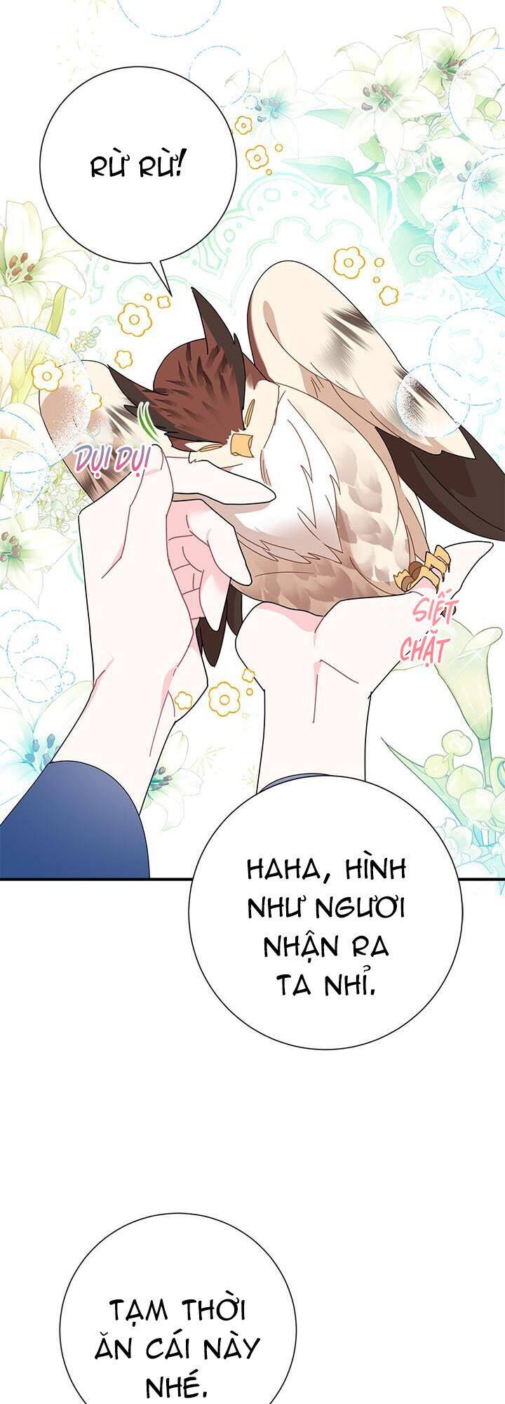 Công Chúa Của Loài Chim Chapter 45 - 20