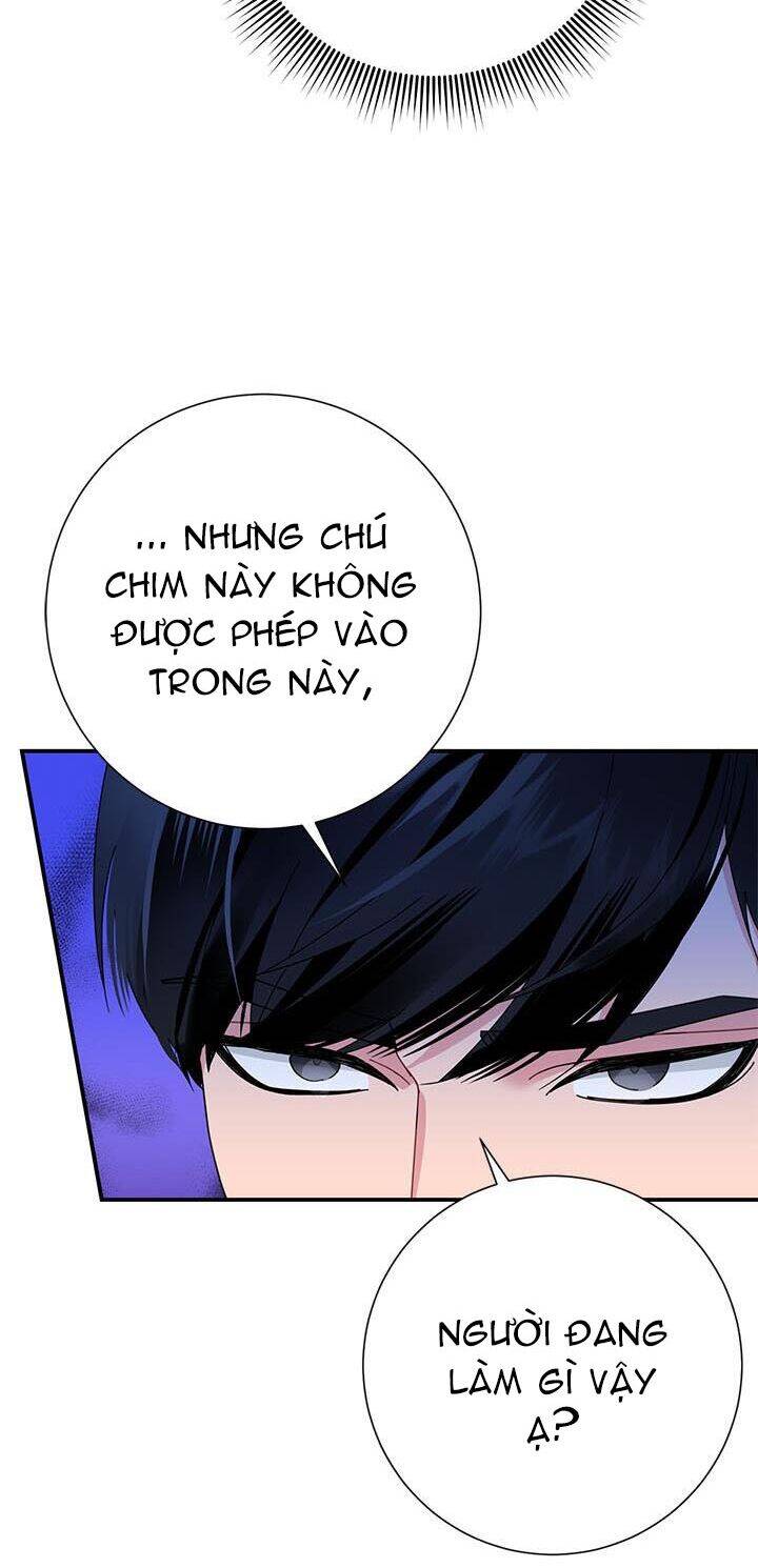 Công Chúa Của Loài Chim Chapter 45 - 36