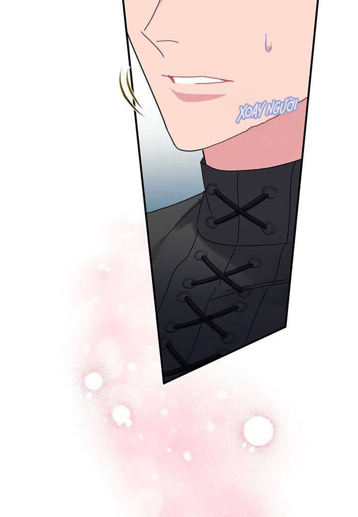 Công Chúa Của Loài Chim Chapter 45 - 51