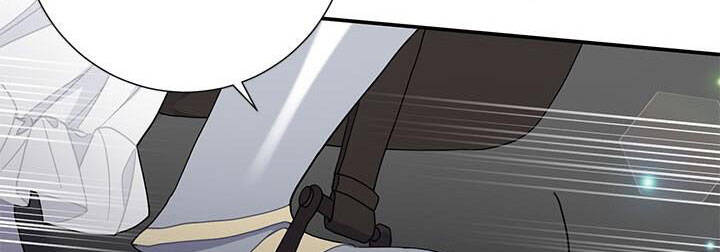 Công Chúa Của Loài Chim Chapter 49.1 - 147