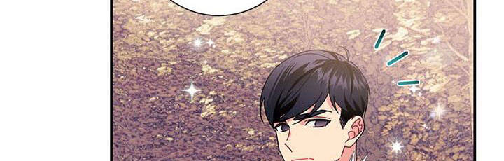 Công Chúa Của Loài Chim Chapter 49.1 - 238