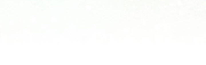 Công Chúa Của Loài Chim Chapter 49.1 - 260