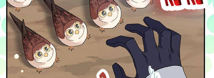 Công Chúa Của Loài Chim Chapter 49 - 16