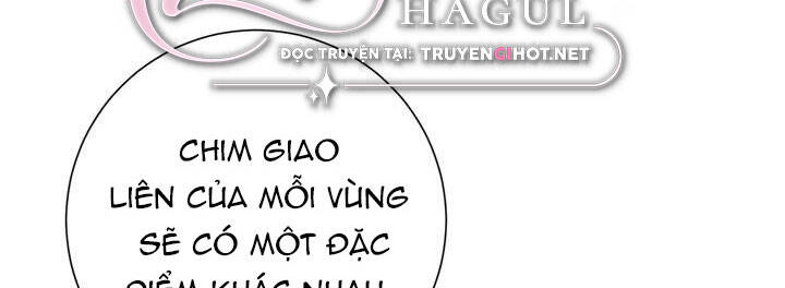 Công Chúa Của Loài Chim Chapter 49 - 19