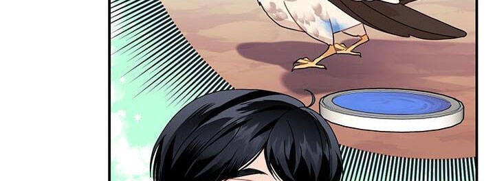 Công Chúa Của Loài Chim Chapter 49 - 21