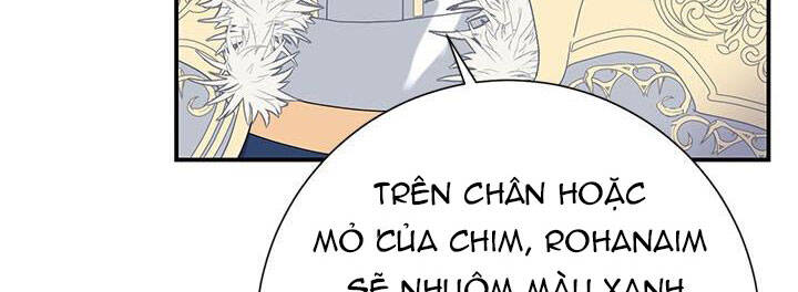 Công Chúa Của Loài Chim Chapter 49 - 23