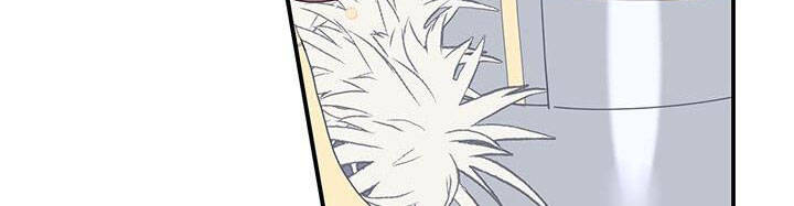 Công Chúa Của Loài Chim Chapter 49 - 304