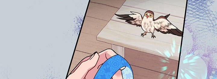 Công Chúa Của Loài Chim Chapter 49 - 71