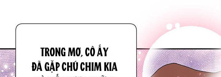 Công Chúa Của Loài Chim Chapter 50 - 120