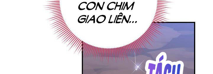 Công Chúa Của Loài Chim Chapter 50 - 134