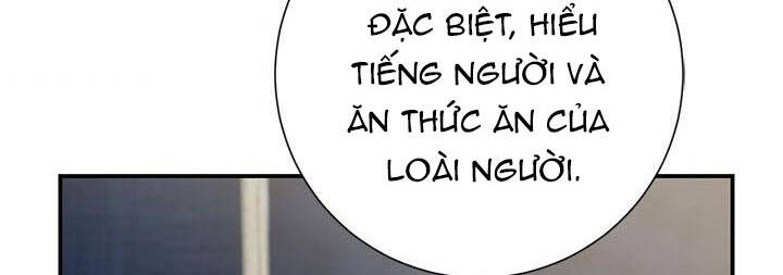 Công Chúa Của Loài Chim Chapter 50 - 145