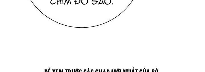 Công Chúa Của Loài Chim Chapter 50 - 149