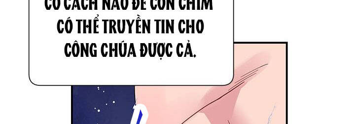 Công Chúa Của Loài Chim Chapter 50 - 164