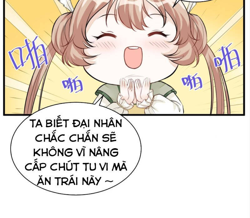 Tu Tiên Phải Dựa Vào Sugar Mommy Chapter 5 - 33