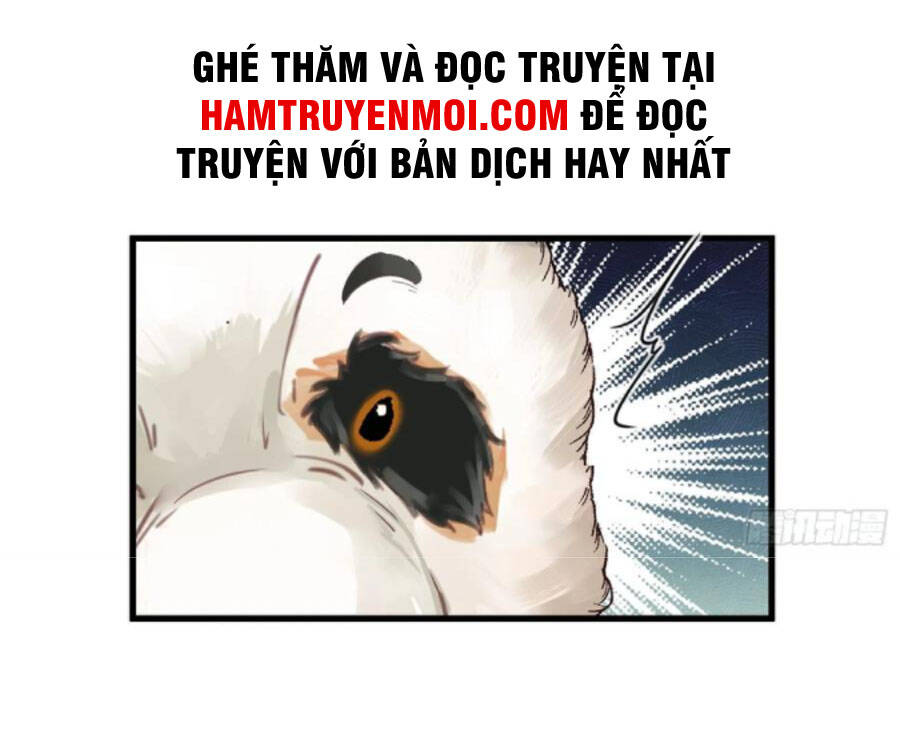Tu Tiên Phải Dựa Vào Sugar Mommy Chapter 63 - 5