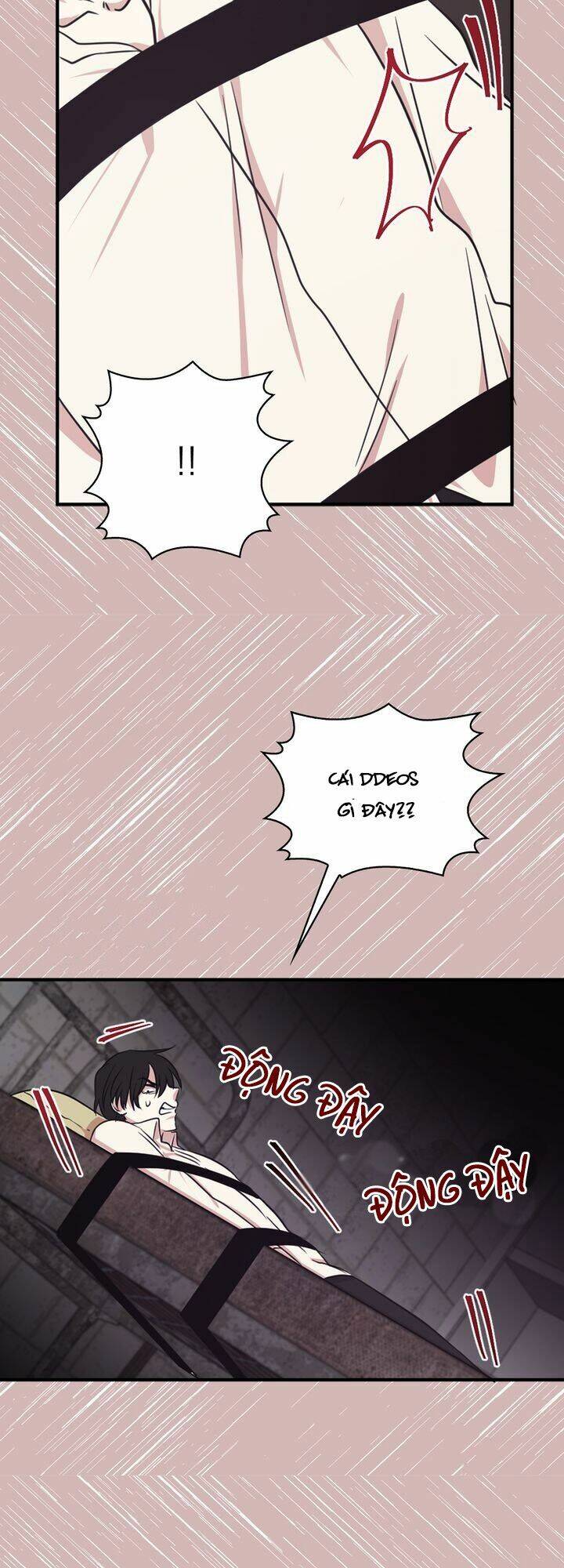 Tôi Sẽ Đi Đến Cùng Với Hoàng Đế Chapter 8 - 5