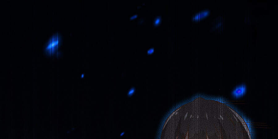 Ba Tôi Là Chiến Thần Chapter 16 - 95