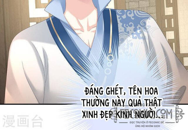 Kiều Phu Có Hỉ Chapter 68 - 24
