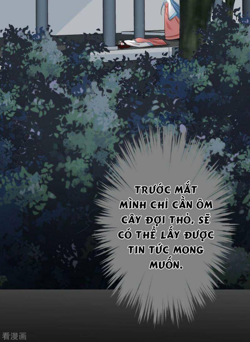 Độc Y Đích Nữ Chapter 28 - 25