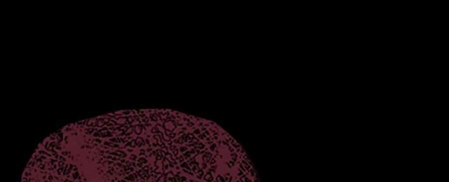 Cậu Bé Shotgun Chapter 19 - 136