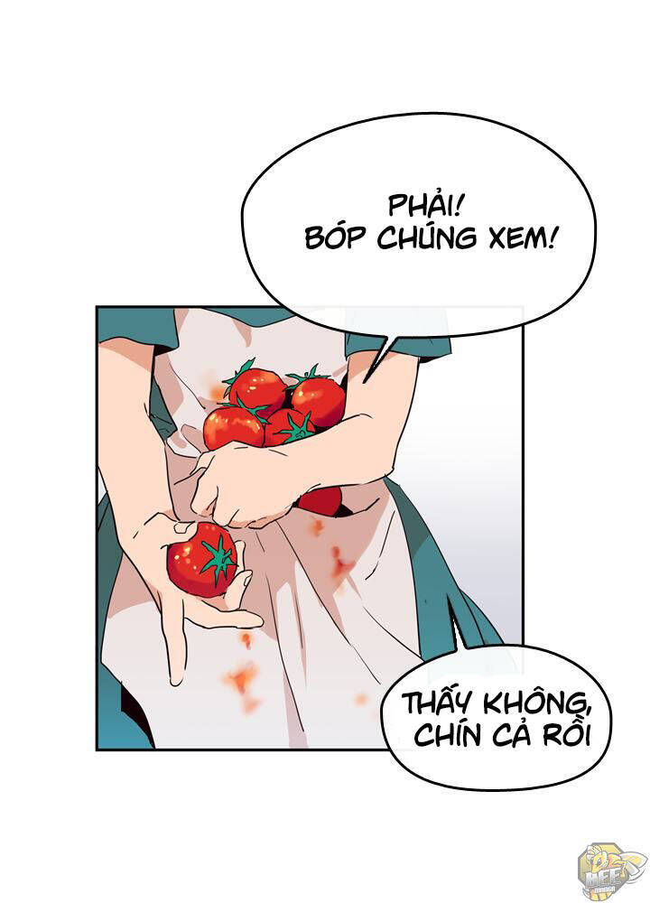 Nàng Phù Thủy Của Tôi Chapter 1 - 21