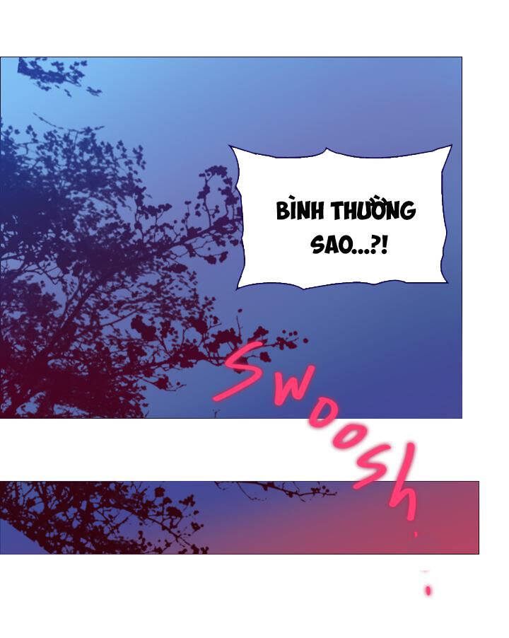 Nàng Phù Thủy Của Tôi Chapter 3 - 48