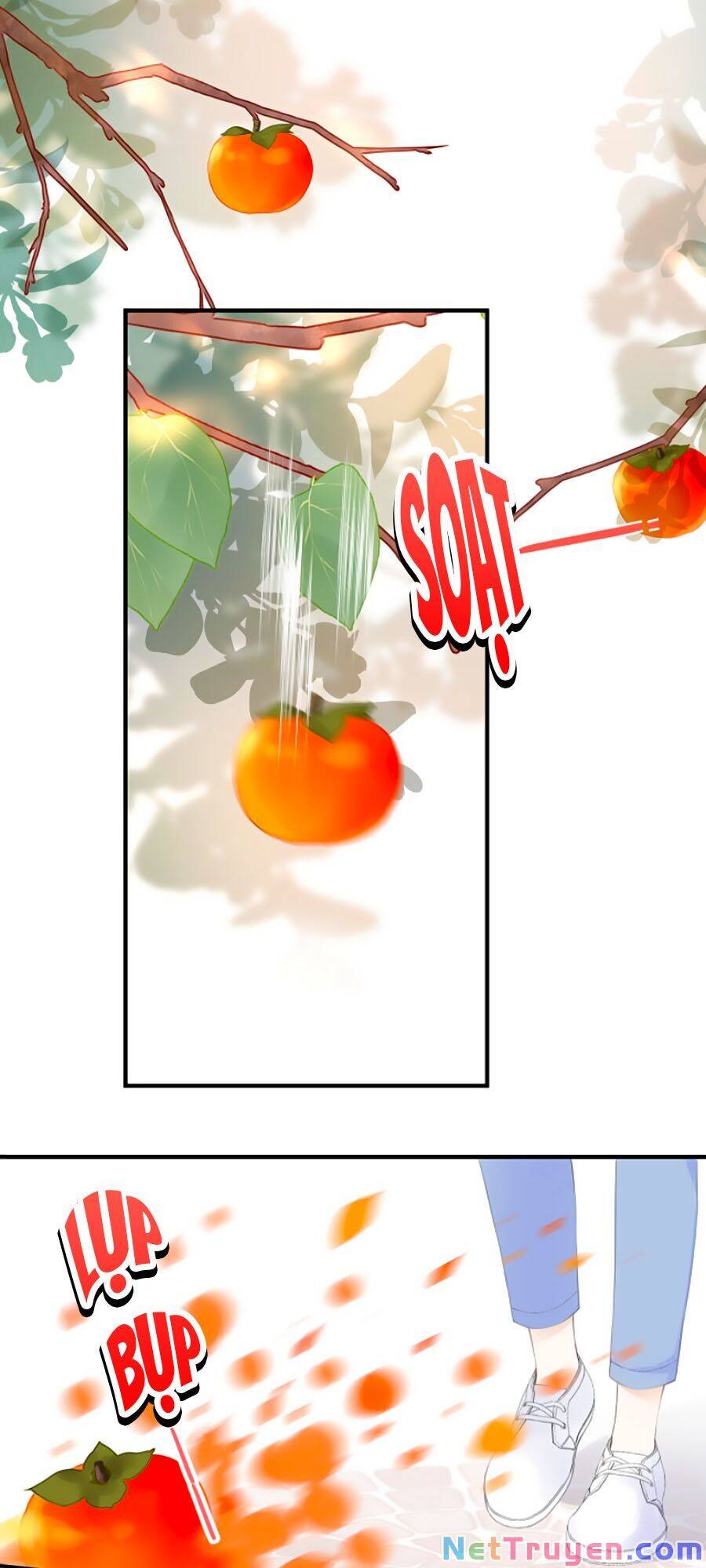 Thầm Yêu: Quất Sinh Hoài Nam Chapter 2 - 2