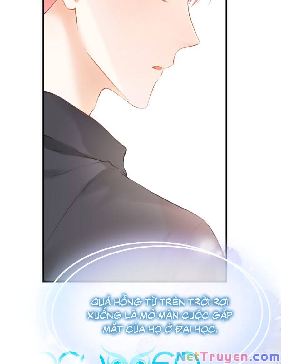 Thầm Yêu: Quất Sinh Hoài Nam Chapter 2 - 4