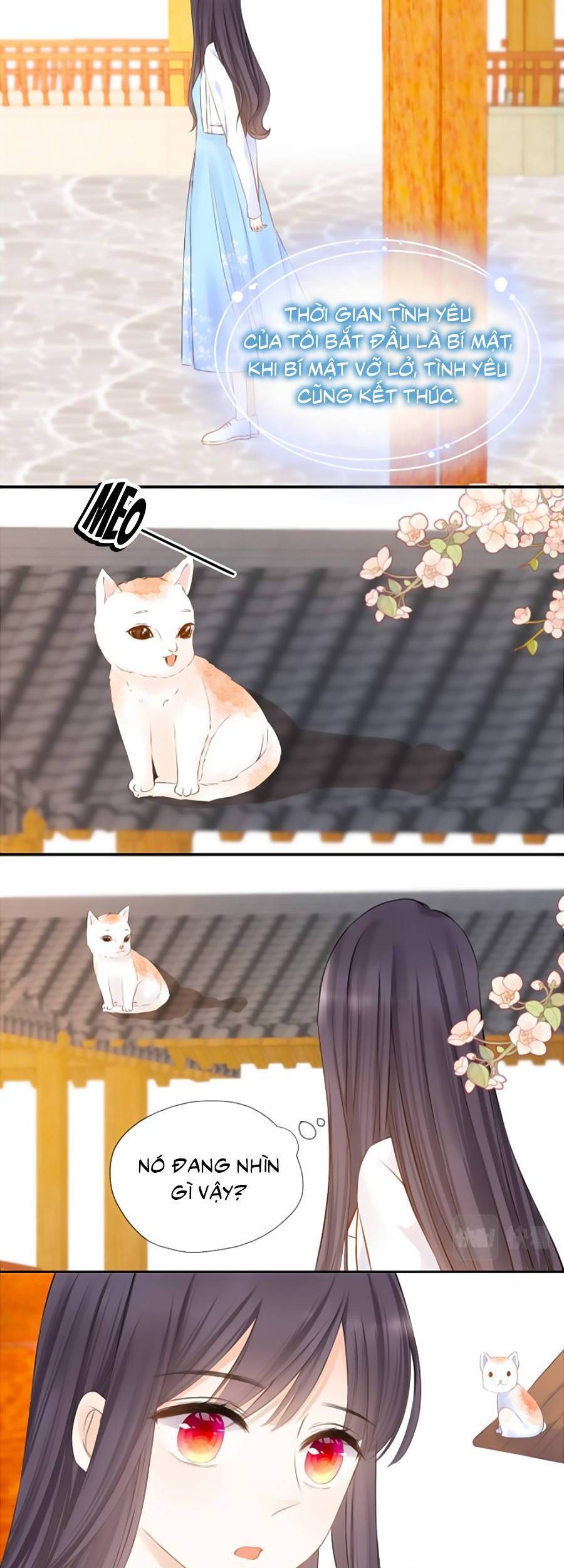 Thầm Yêu: Quất Sinh Hoài Nam Chapter 45 - 9