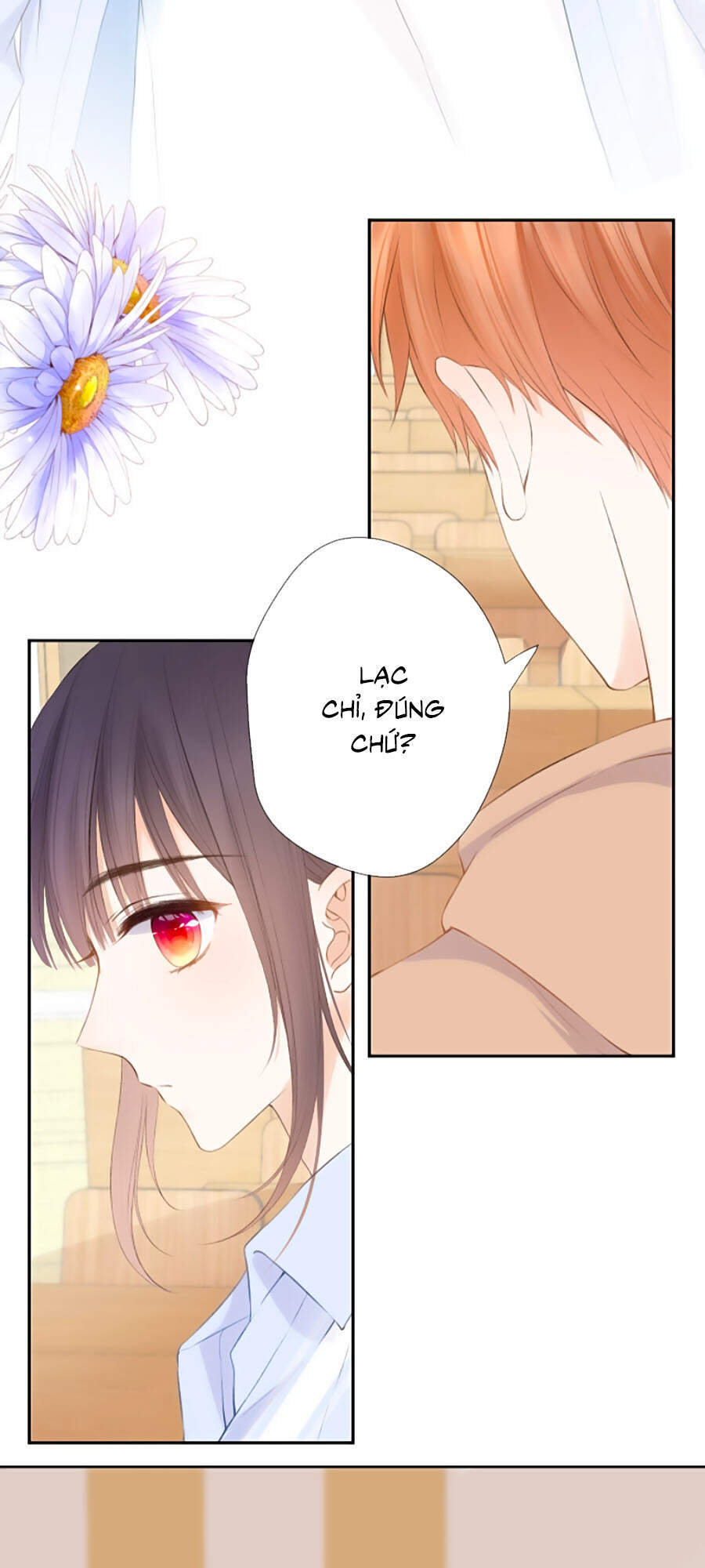 Thầm Yêu: Quất Sinh Hoài Nam Chapter 5 - 10