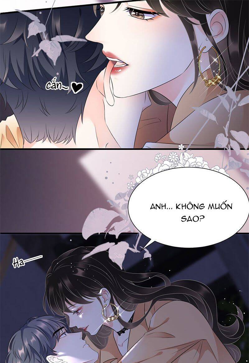 Đại Tiểu Thư Có Thể Có Cái Gì Xấu Chapter 1 - 15