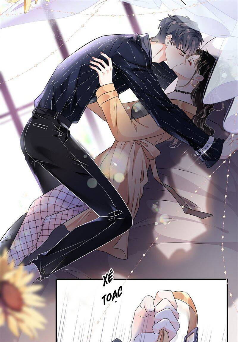 Đại Tiểu Thư Có Thể Có Cái Gì Xấu Chapter 1 - 19