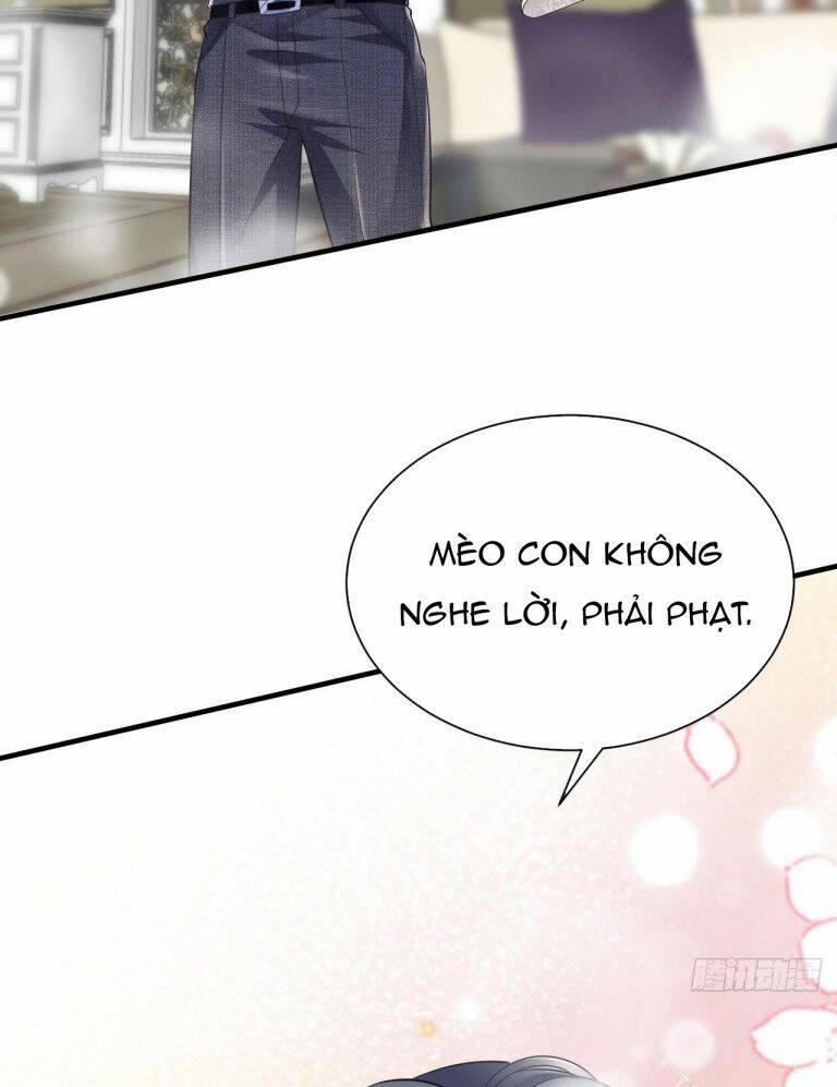 Đại Tiểu Thư Có Thể Có Cái Gì Xấu Chapter 11 - 44