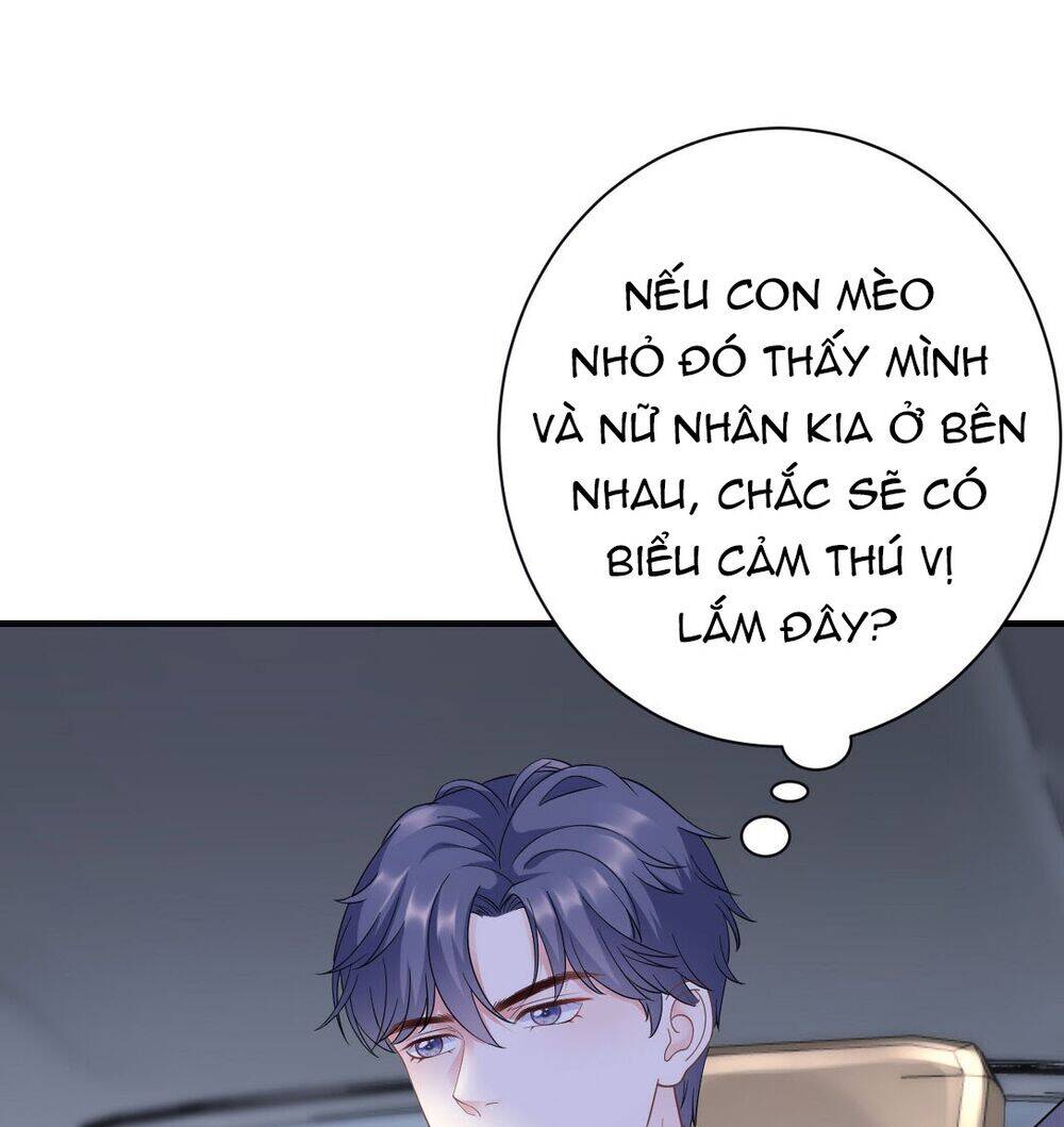 Đại Tiểu Thư Có Thể Có Cái Gì Xấu Chapter 16 - 29