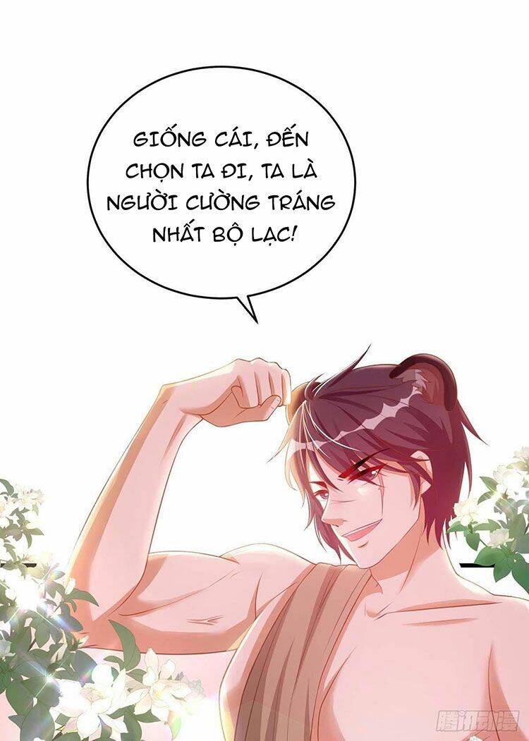 Thú Thế Cuồng Phi: Bất Đương Dị Giới Nữ Hải Vương Chapter 1 - 19