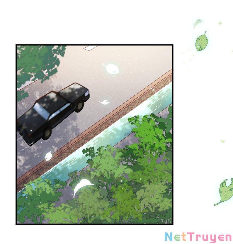 Anh Ấy Sinh Ra Đã Là Công Của Tôi Chapter 31 - 13