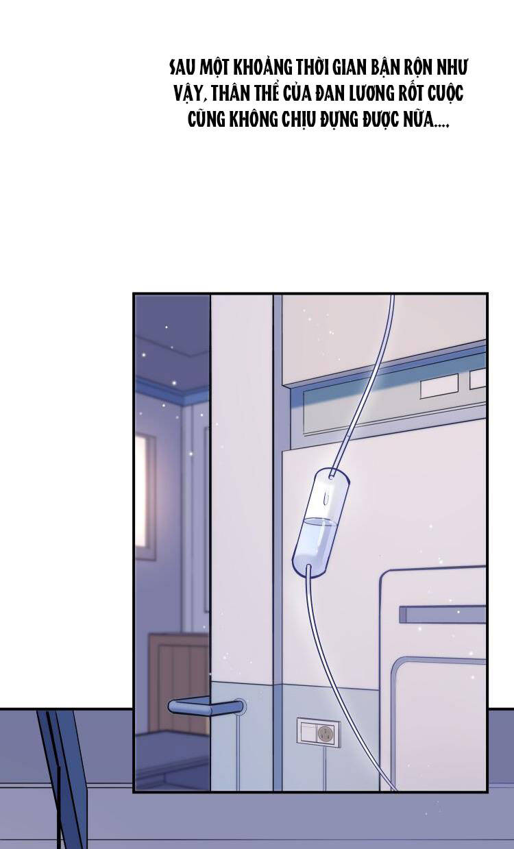 Anh Ấy Sinh Ra Đã Là Công Của Tôi Chapter 49 - 22