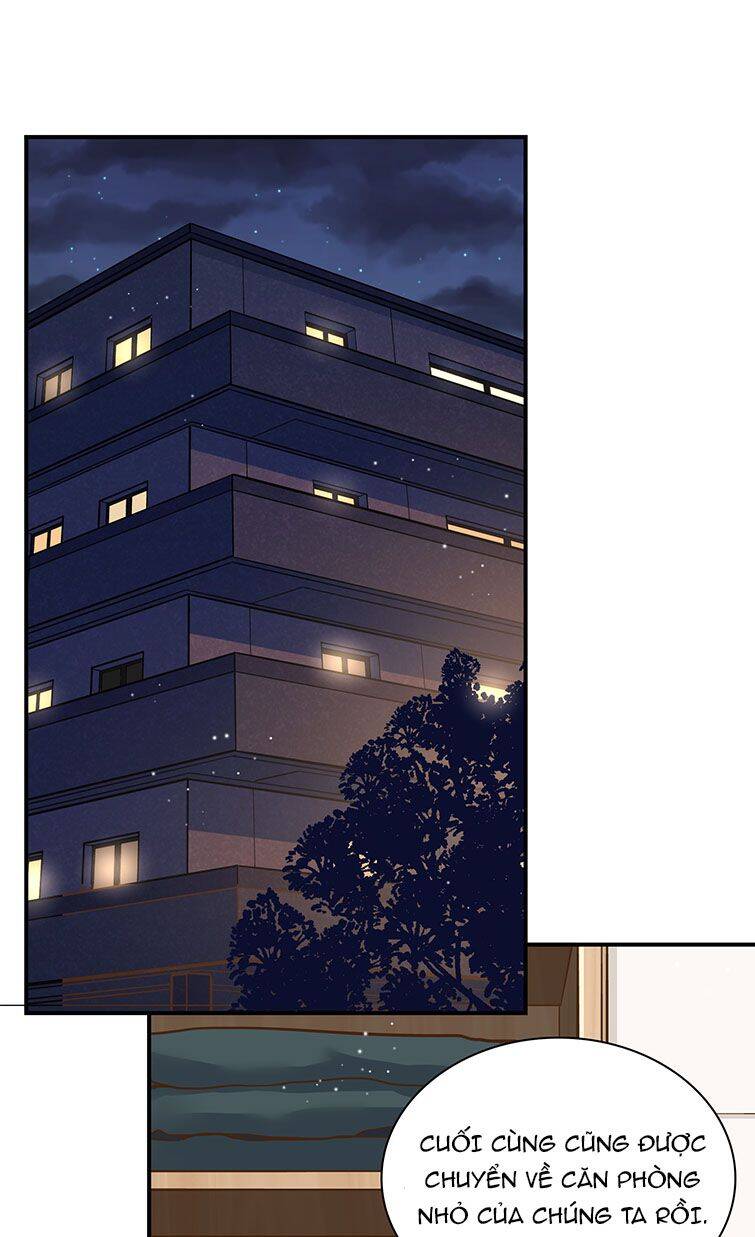 Anh Ấy Sinh Ra Đã Là Công Của Tôi Chapter 56 - 4