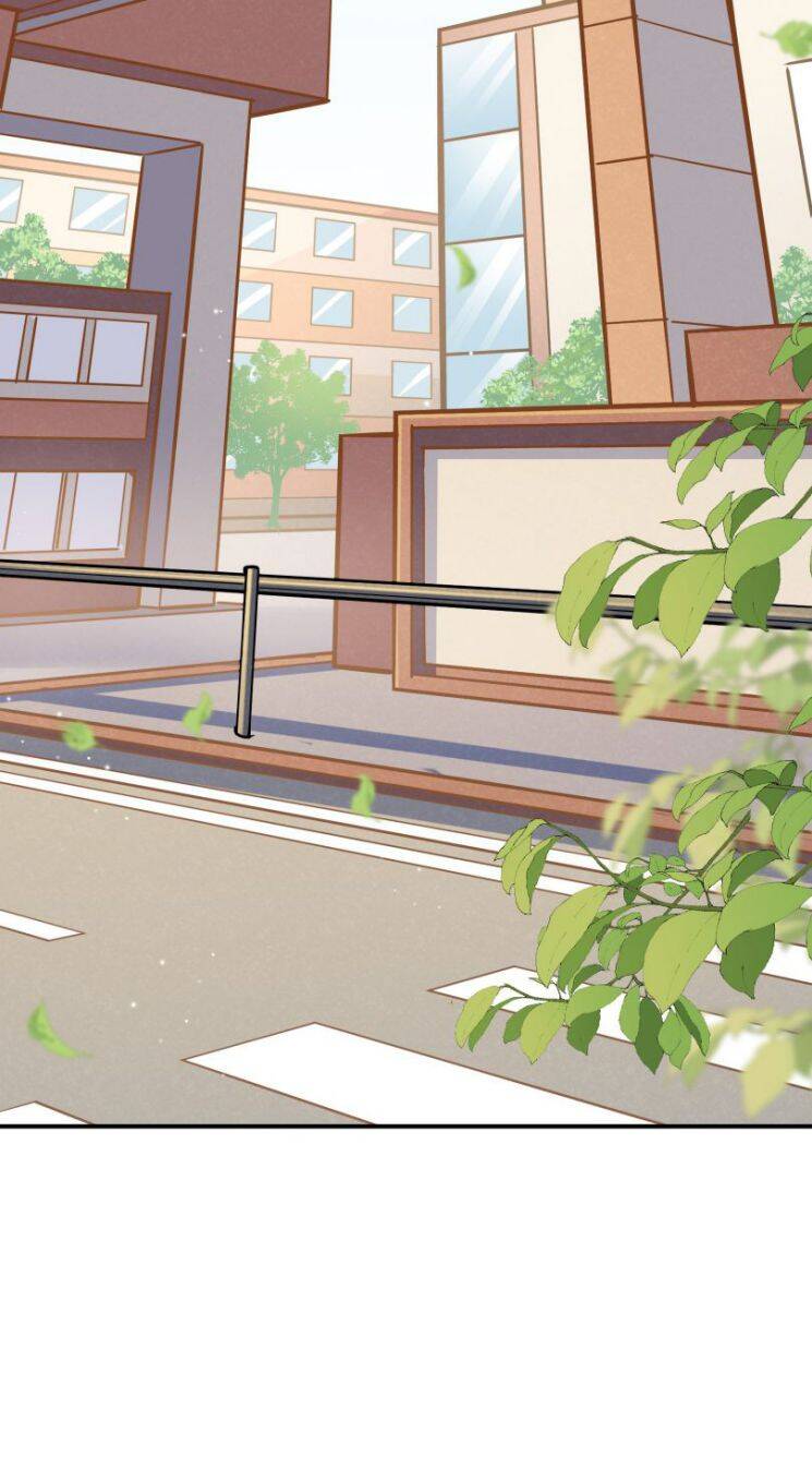 Anh Ấy Sinh Ra Đã Là Công Của Tôi Chapter 60 - 5