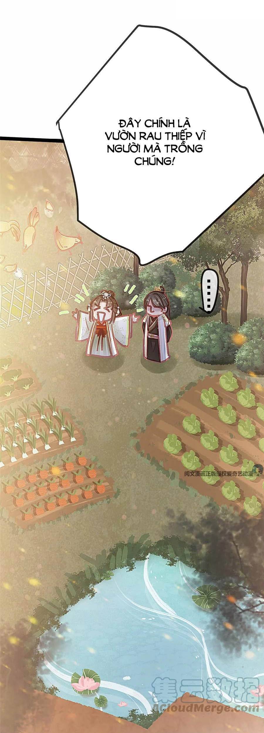 Quý Phi Muốn Trở Thành Con Cá Mặn Mòi Chapter 30 - 13